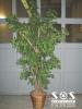 ARB035